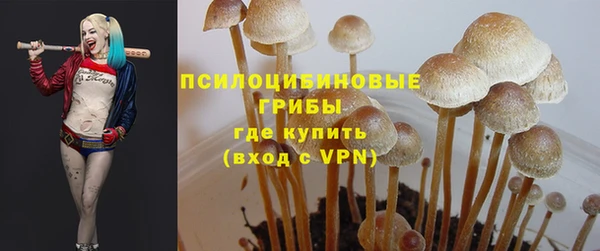 молекула духа Белоозёрский