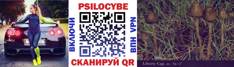 Псилоцибиновые грибы прущие грибы  Купить где  Барыш 